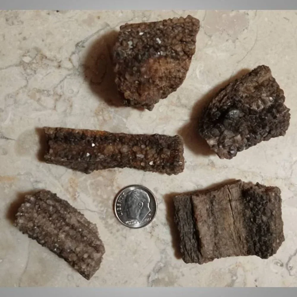 petrified wood covered in smokey \ smoky quartz stone rock fossil chunks - Picture 3 of 5